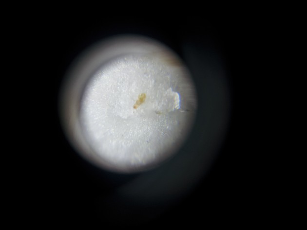 20150816_161645.jpg