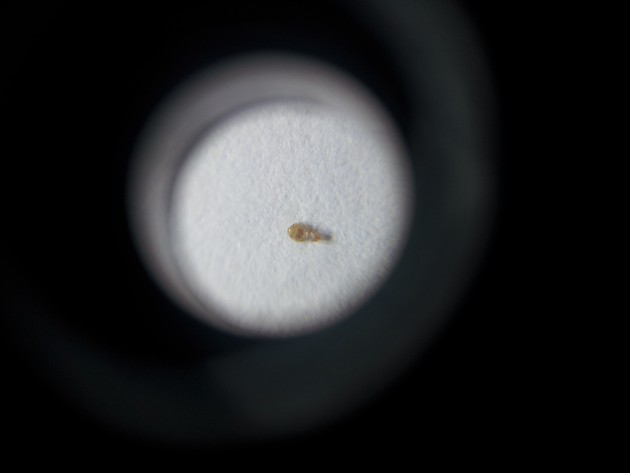 20150816_161818.jpg
