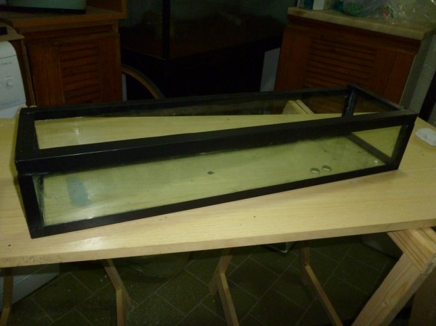 b6.JPG