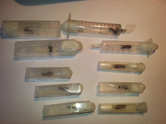 20150924_181213-min.jpg