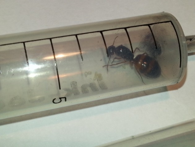 20150924_181227-min.jpg