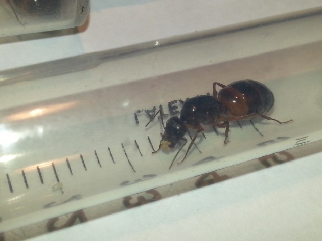 20150924_181318-min.jpg