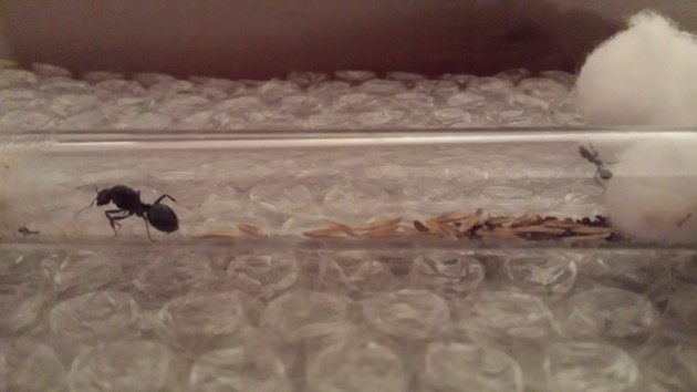 20150925_201530.jpg