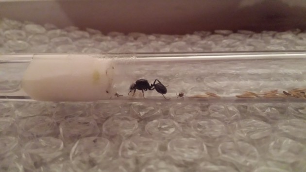 20150925_201536.jpg