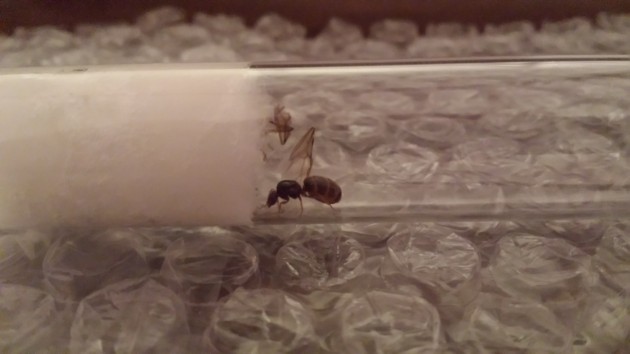 20150925_201516.jpg