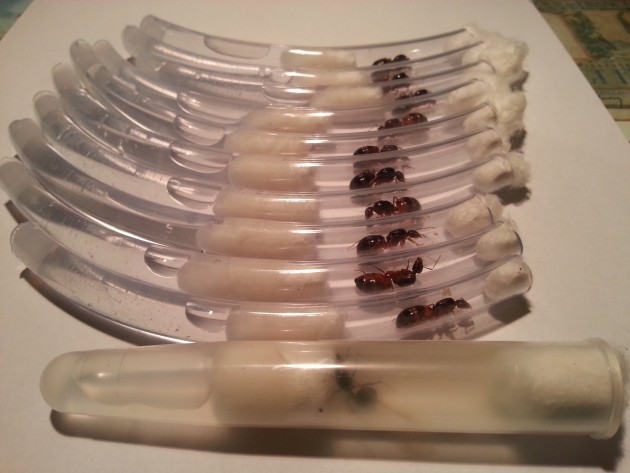 20150925_230743-min.jpg