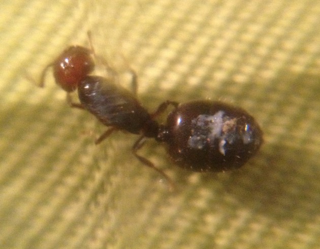 foto-3.jpg
