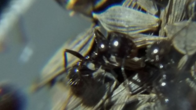 20151023_200825.jpg