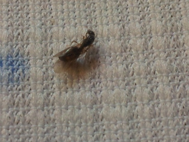 20121019_154127.jpg