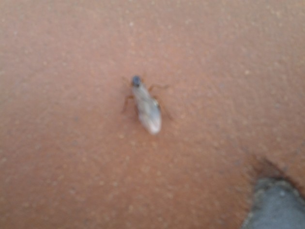 2012-11-03 14.47.32.jpg