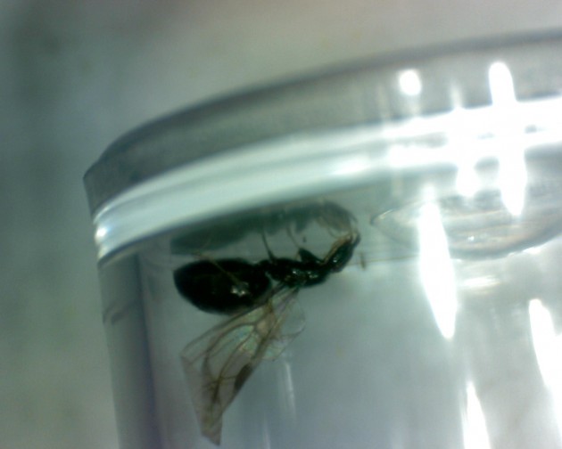 N0007.JPG