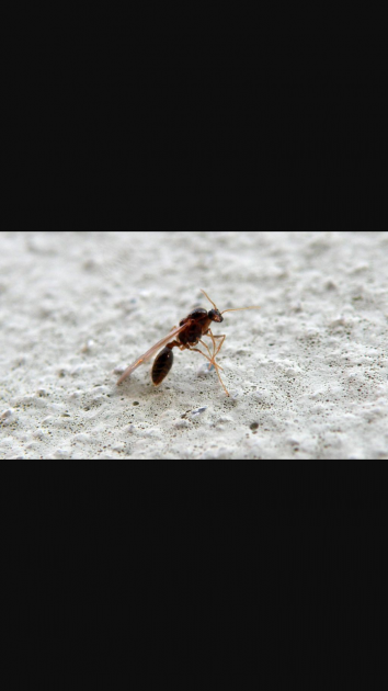 Screenshot_2016-07-01-17-03-00.png (440.53 KiB) Osservato 2882 volte Screenshot_2016-07-01-17-03-00.png