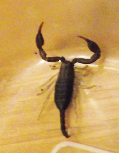 DSCF4787.JPG