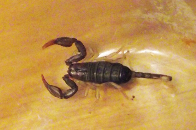 DSCF4788.JPG