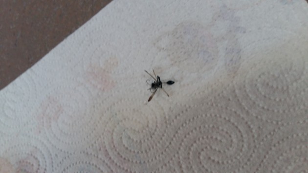 20160712_180155.jpg