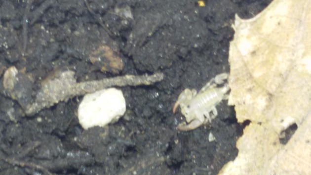 20160721_151002.jpg