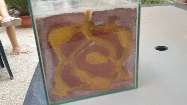 20160723_181244.jpg