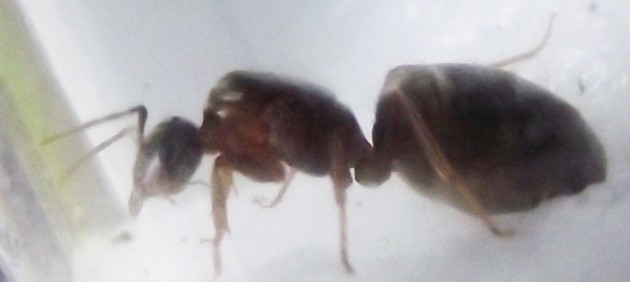 DSCF3532.JPG