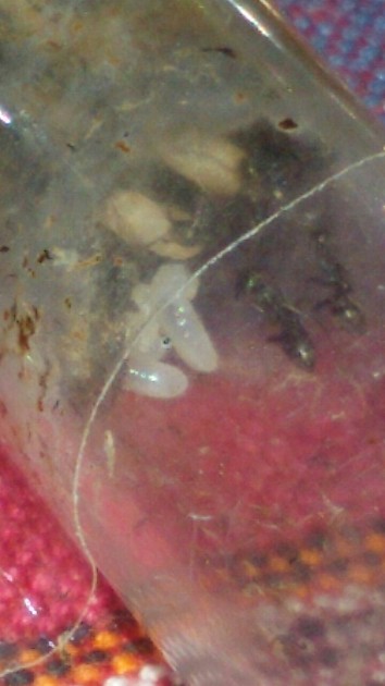2016-8-6 22-34-35.jpg
