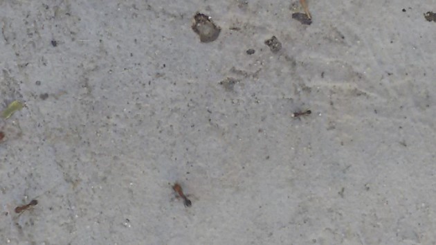 20160809_185313.jpg
