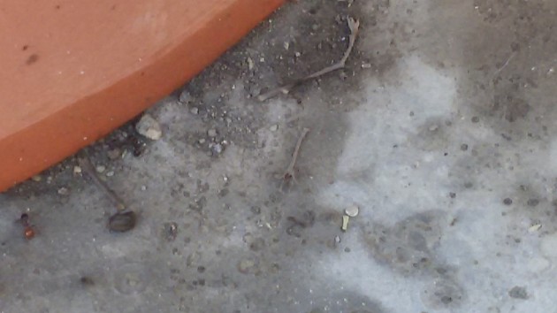20160809_185327.jpg