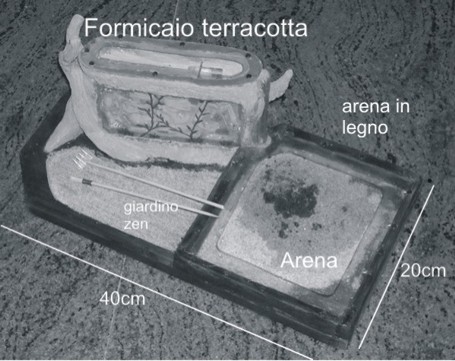formicaio terrac01.jpg
