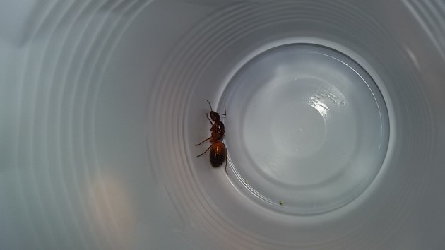 20160816_125215.jpg