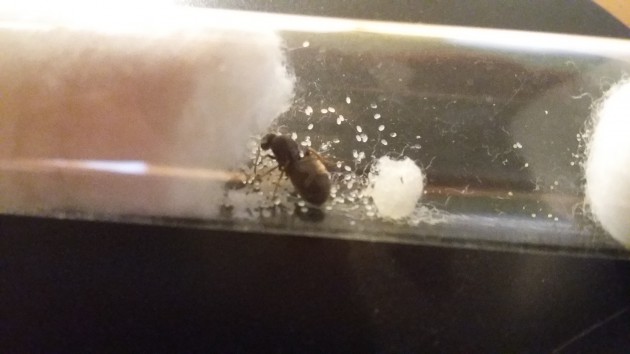 20160830_143252.jpg