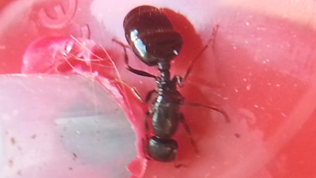 20160918_114501.jpg