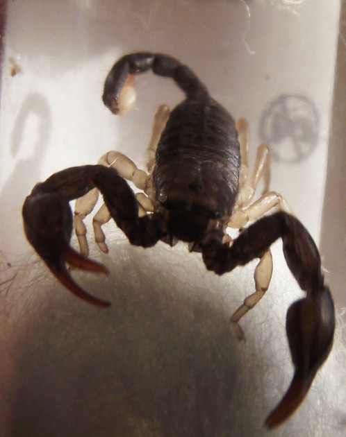 DSCF4795.JPG