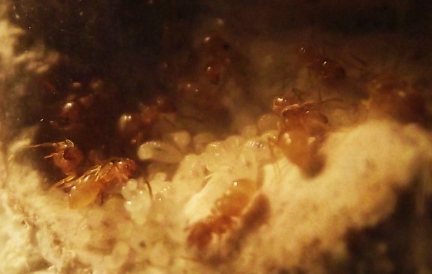 DSCF4856.JPG