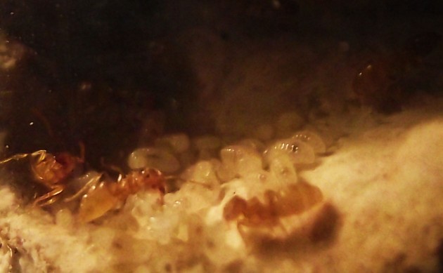 DSCF4857.JPG