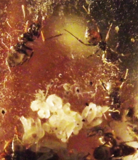 DSCF4864.JPG