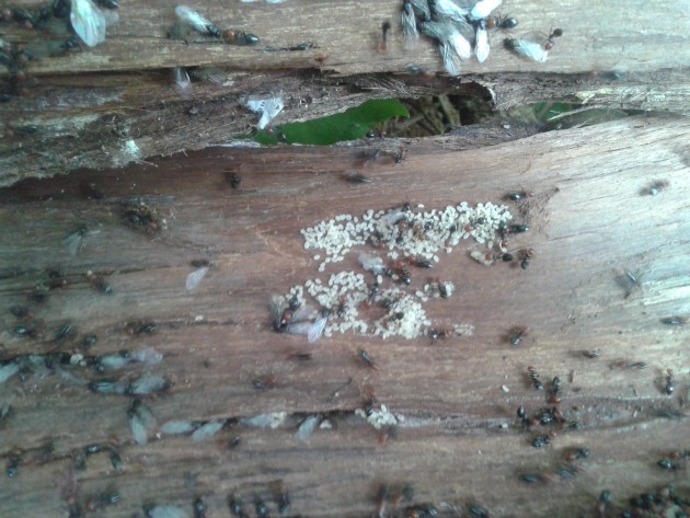 20161008_125520.jpg
