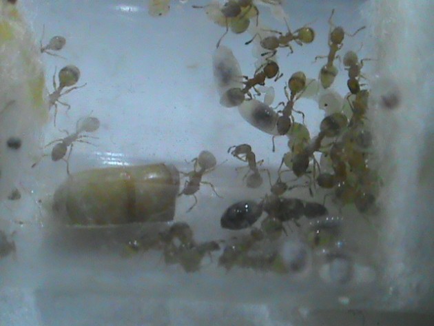 foto 13.JPG