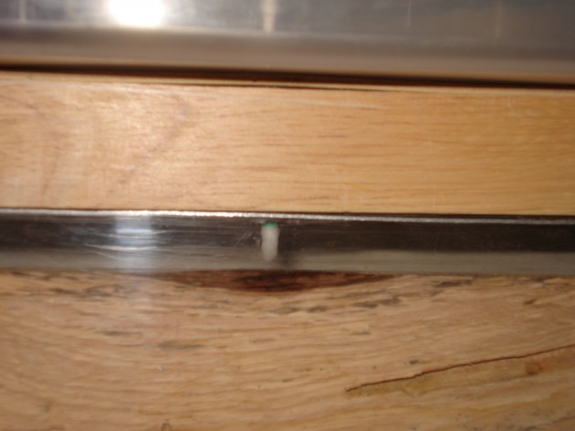DSC02723.JPG