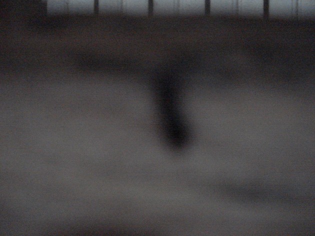 DSC02721.JPG