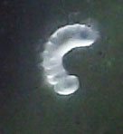 DSCF3588.JPG