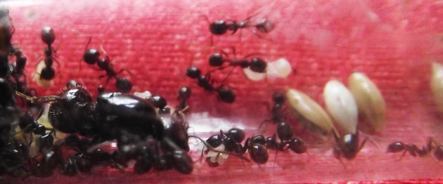DSCF4999.JPG