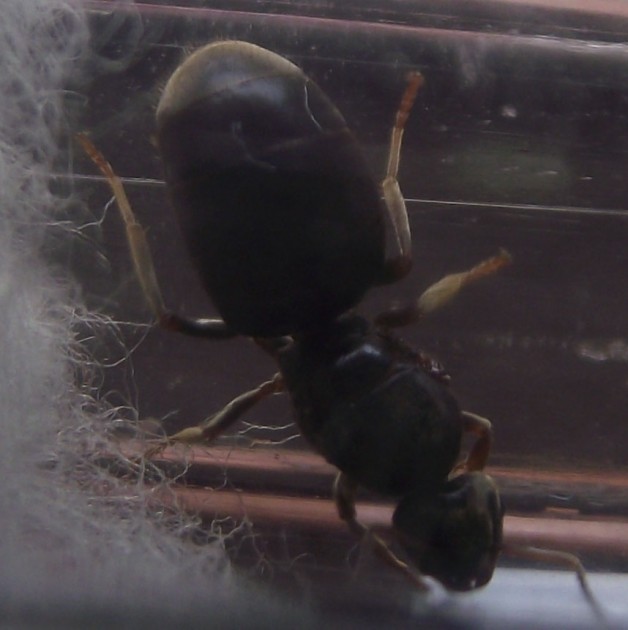 DSCF3612.JPG