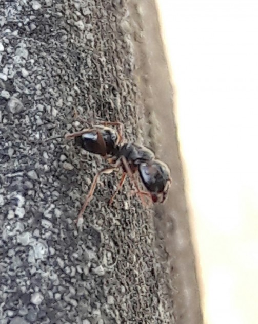 20170529_115324.jpg