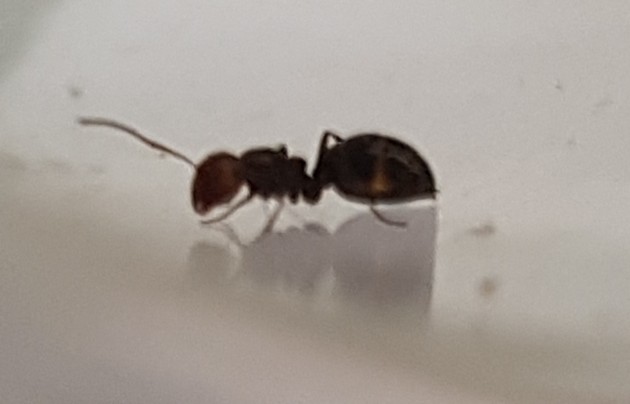 20170605_160219.jpg