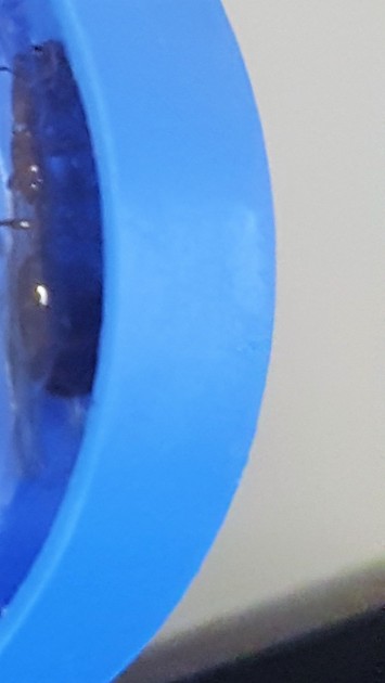 20170606_174355.jpg