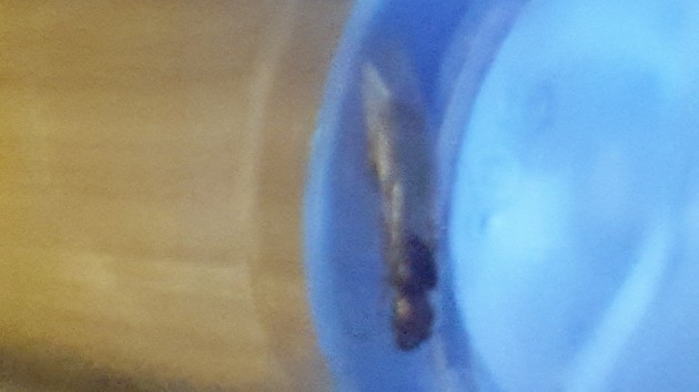 20170606_174435.jpg