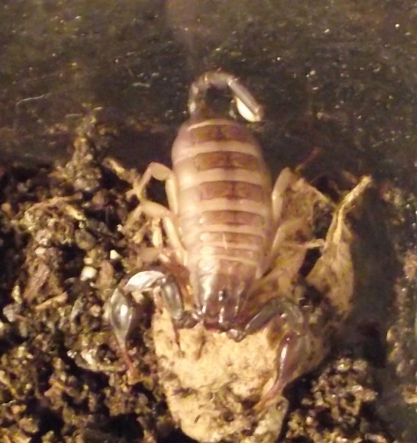 DSCF5056.JPG